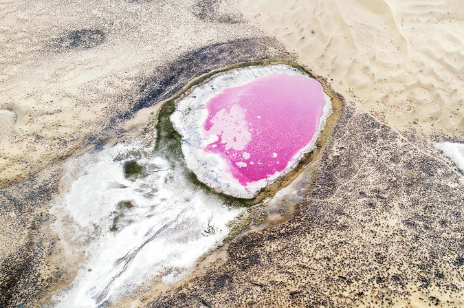 大漠深处奇美粉红湖