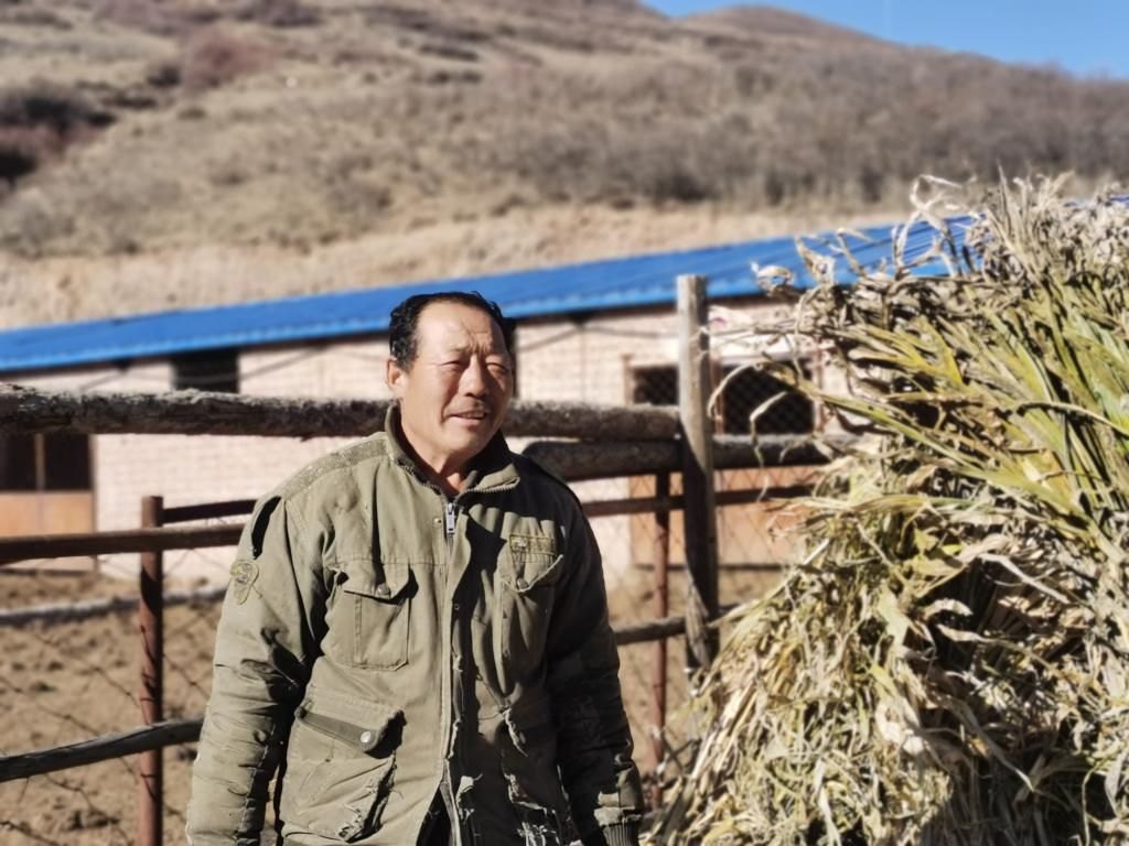 1月19日，山西省岢岚县脱贫户吕如堂在牛圈前准备草料。新华社记者 梁晓飞 摄