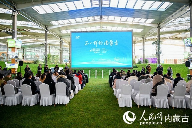 启动仪式现场。主办方供图