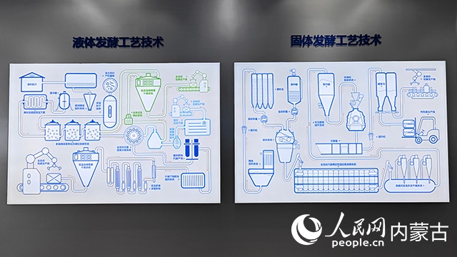 科拓生物工艺技术展示。人民网记者 张雪冬摄