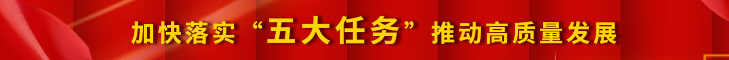 加快落实五大任务，推动高质量发展