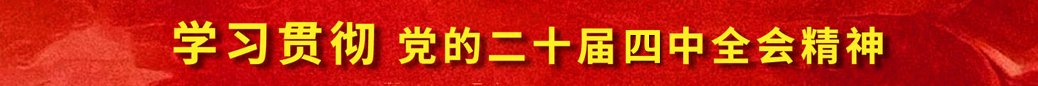 学习贯彻党的二十届四中全会精神