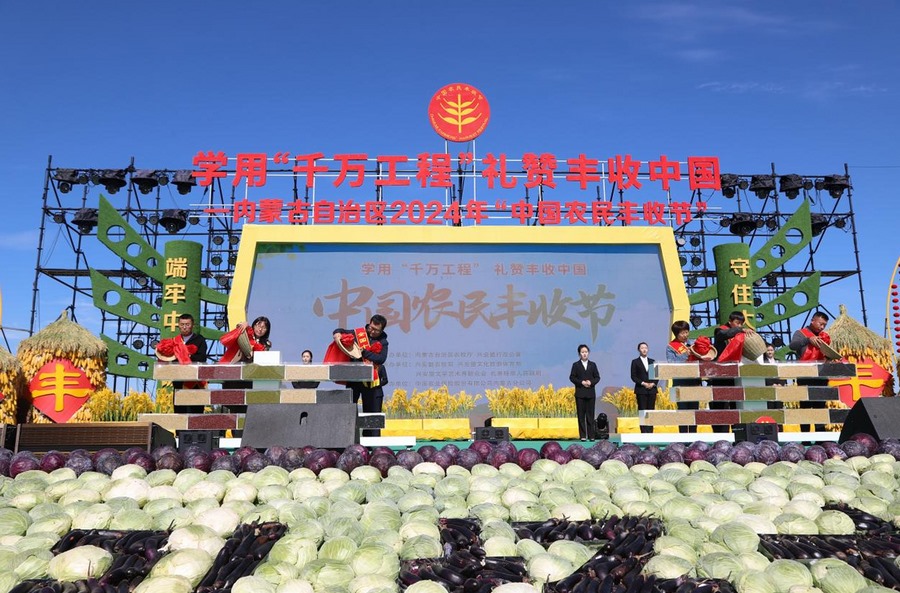 图片13.png