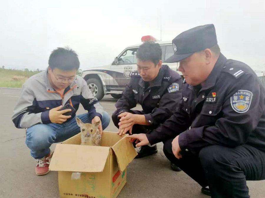 微信图片_20241220142011.jpg