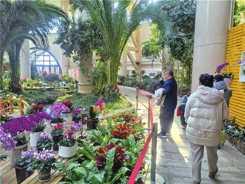 植物园1.jpg