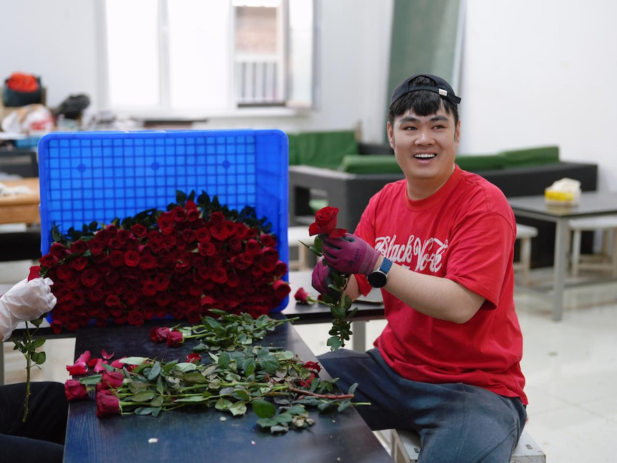 图片27.png