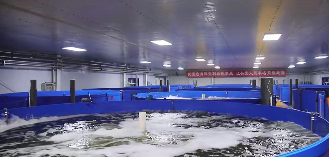 海鲜1.jpg