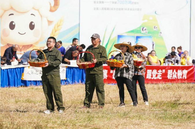 丰收3.jpg