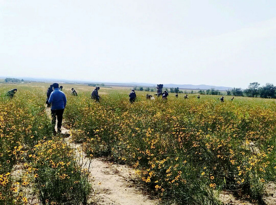 184413_038.jpg