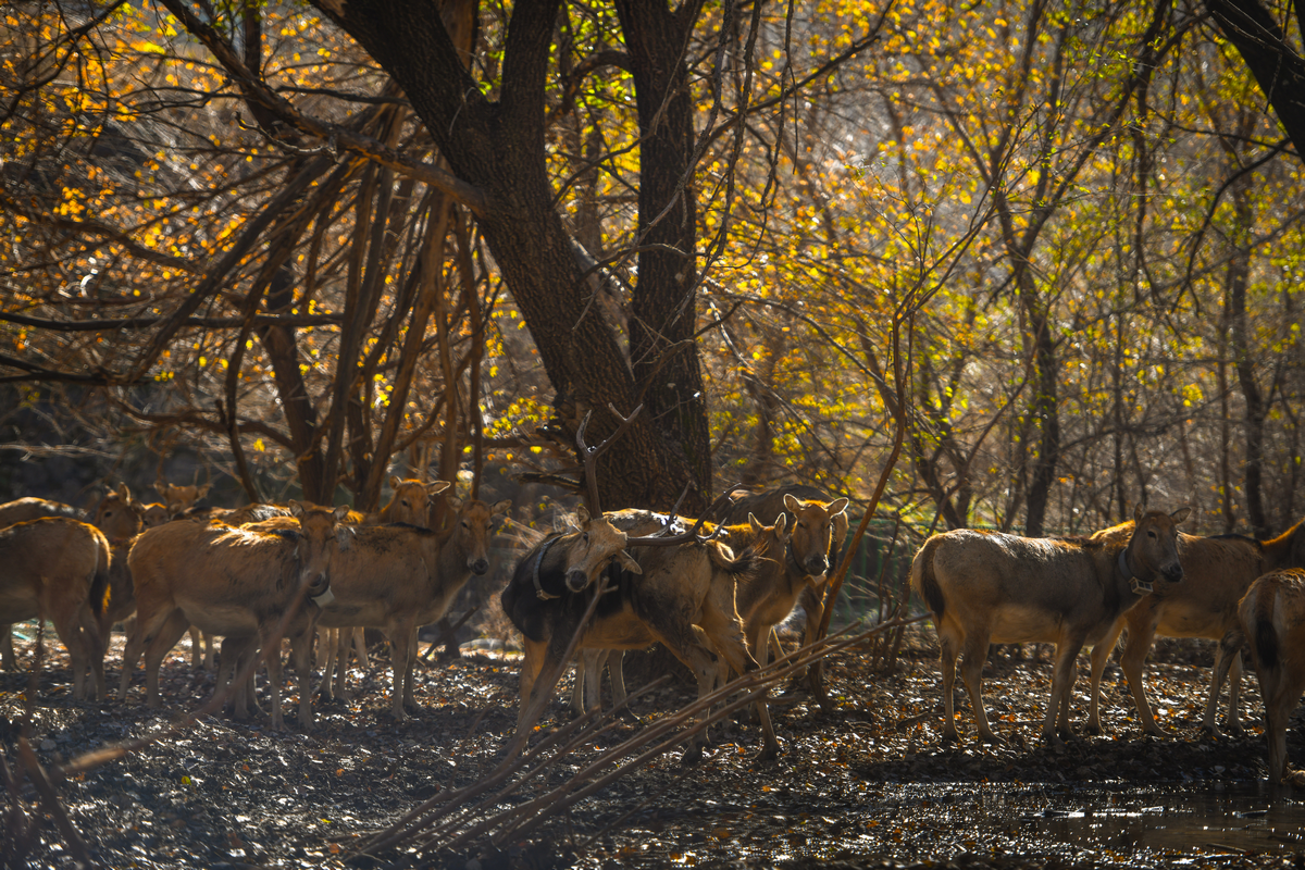 1761634830127227.png 图片5.png