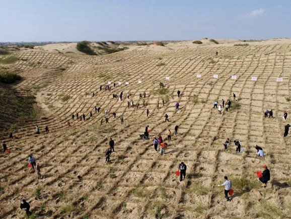 1762757803212404.jpg 获奖5.jpg