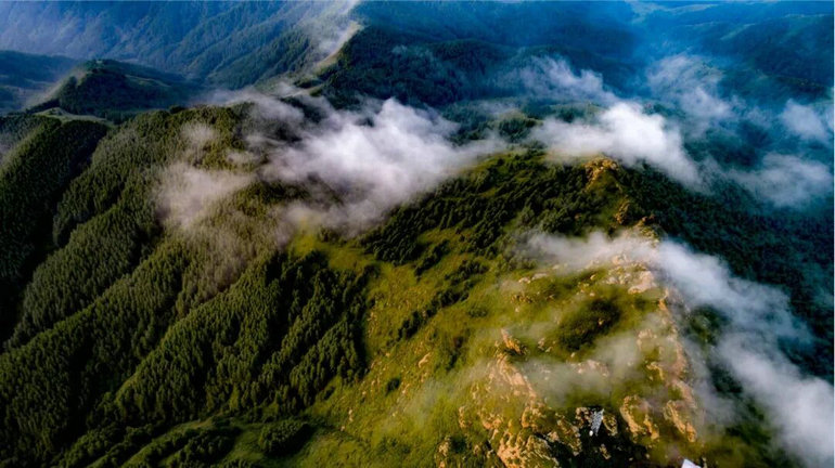 1762829619140756.jpg 苏幕山.jpg