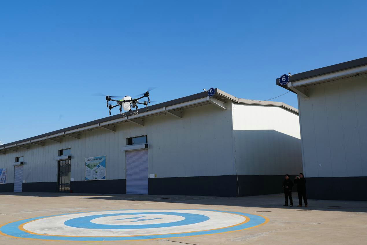 1762948390762006.jpg 图片1.jpg