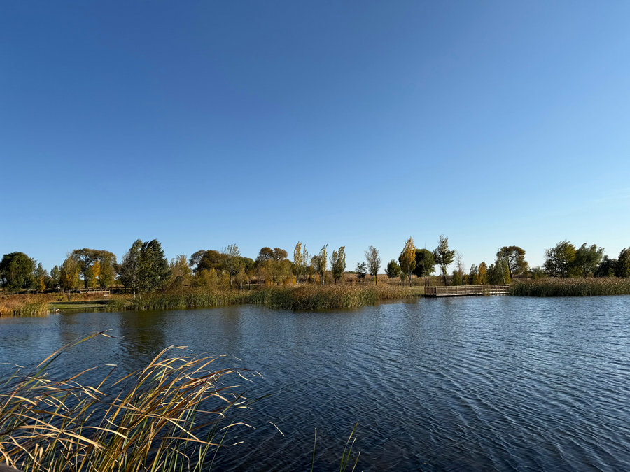 1763005510794926.jpg 微信图片_20241022095608.jpg