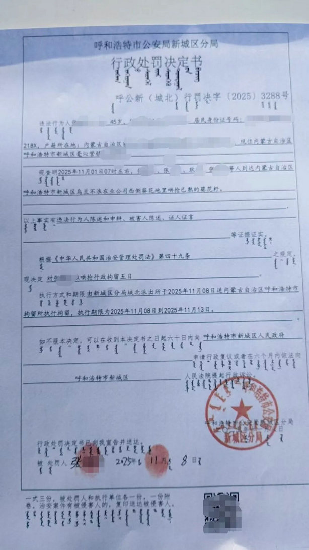 1763105521675297.jpg 葵花7.jpg