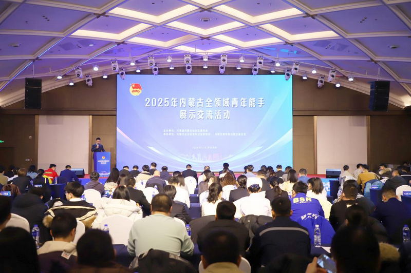 1765854345763168.png 3图片1.png