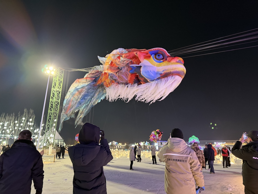 1767515643138527.jpg 20251231大黑河军事文化公园李姝廷摄影.jpg