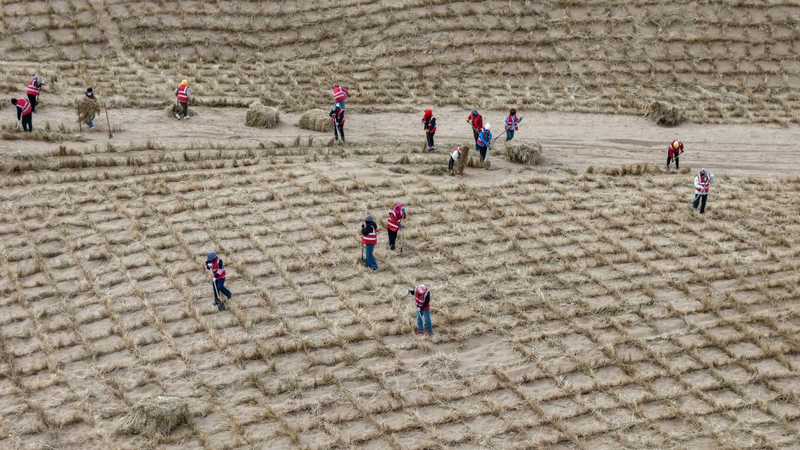 1772265118449165.png 阿拉善工人作业中1.png