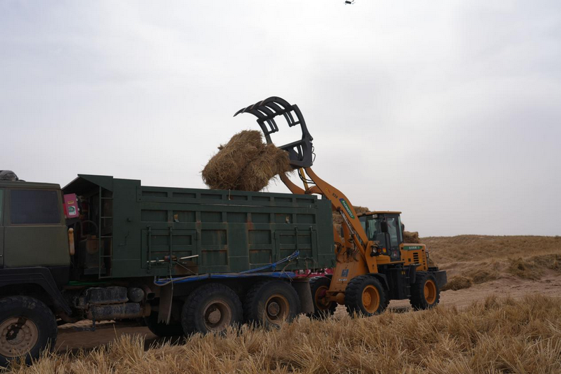 1772265359559843.png 阿拉善机械作业.png