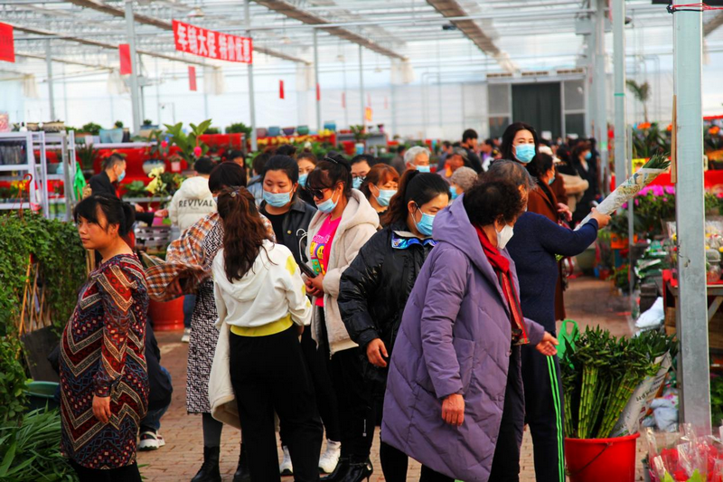 赤峰市民在松山区雨润花卉市场选购鲜花 李富 摄.png