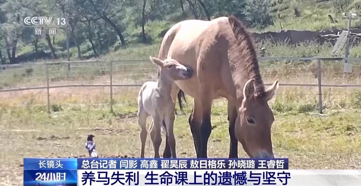 1772594376106654.jpg 009.jpg