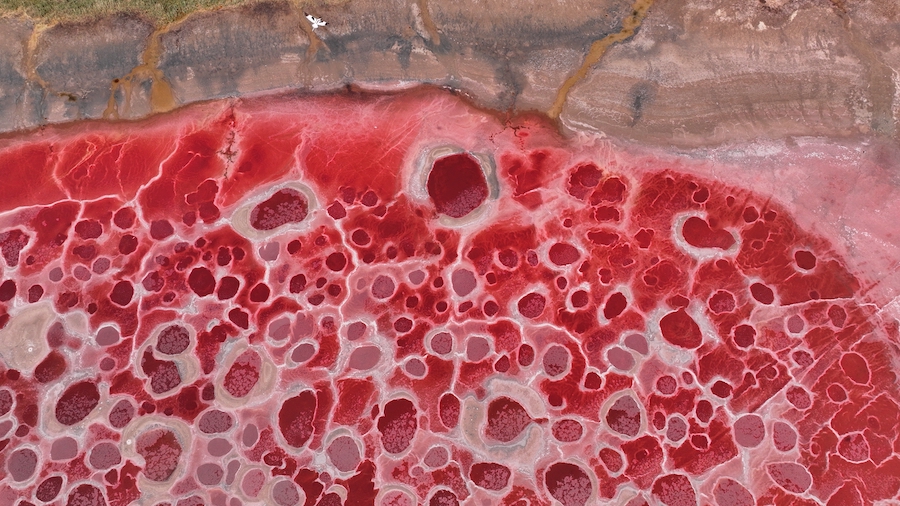 朝宝拍摄 (3).jpg