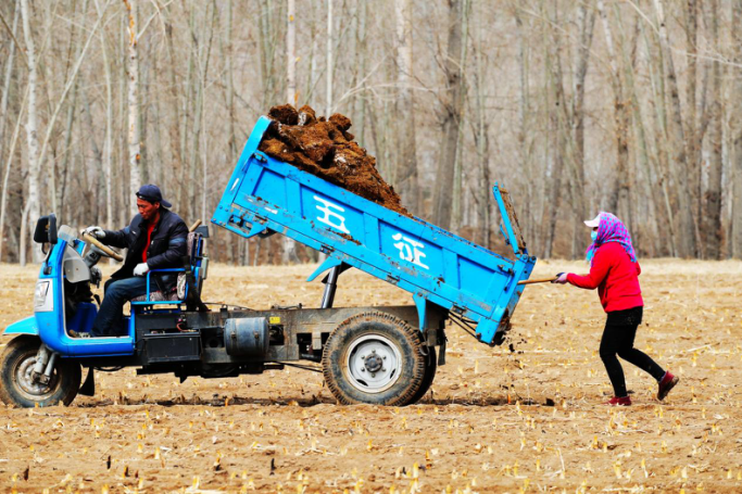 1773557952134155.png 图片41.png