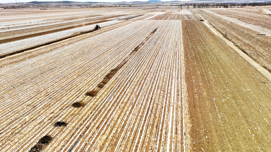 1773558090133398.png 图片44.png