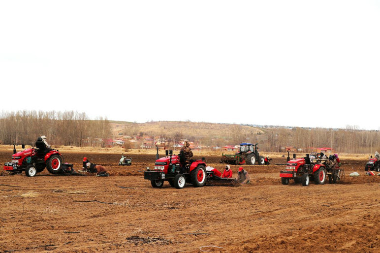 1774942551245410.jpg 药材1.jpg