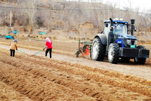 1774942667374806.jpg 药材3.jpg