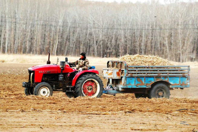 1774942757625122.jpg 药材2.jpg