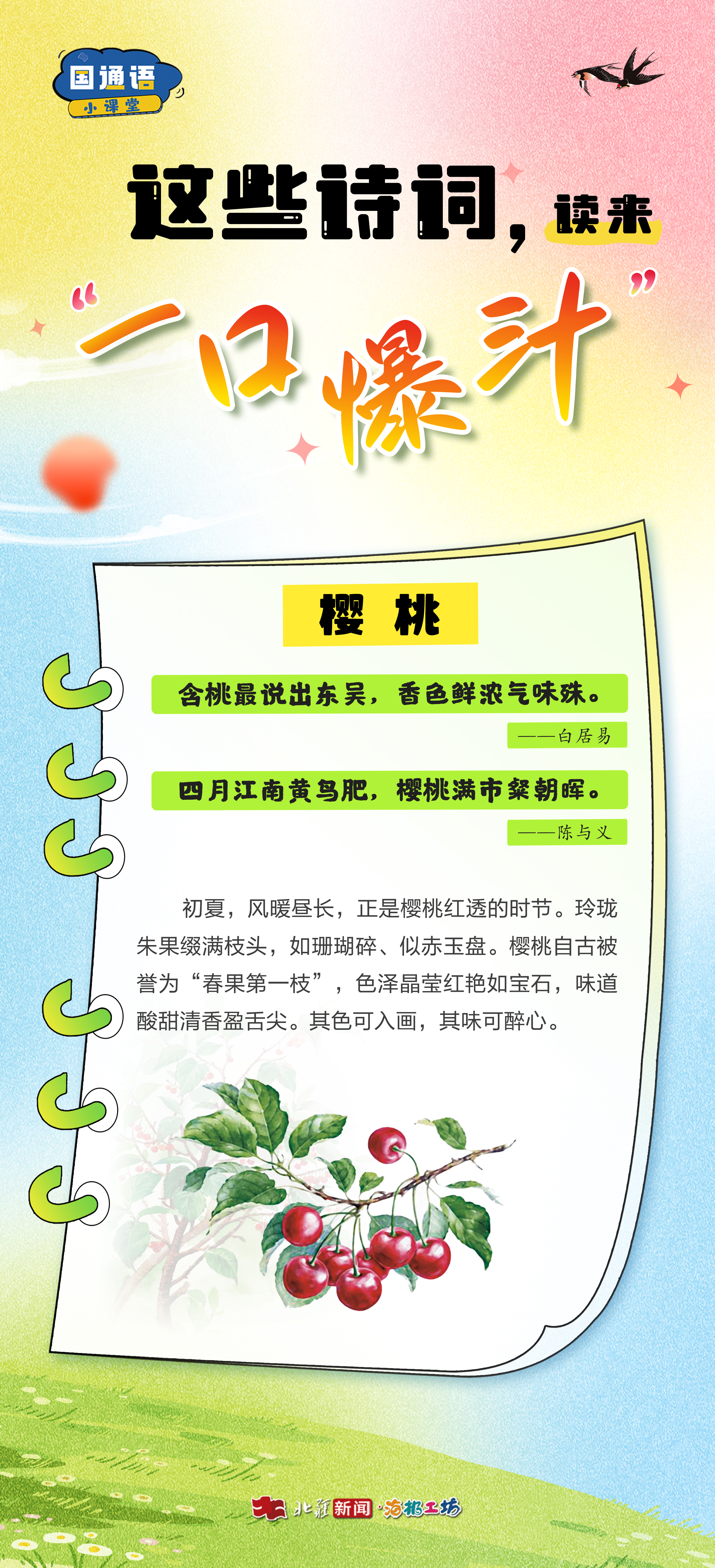 樱桃1.jpg