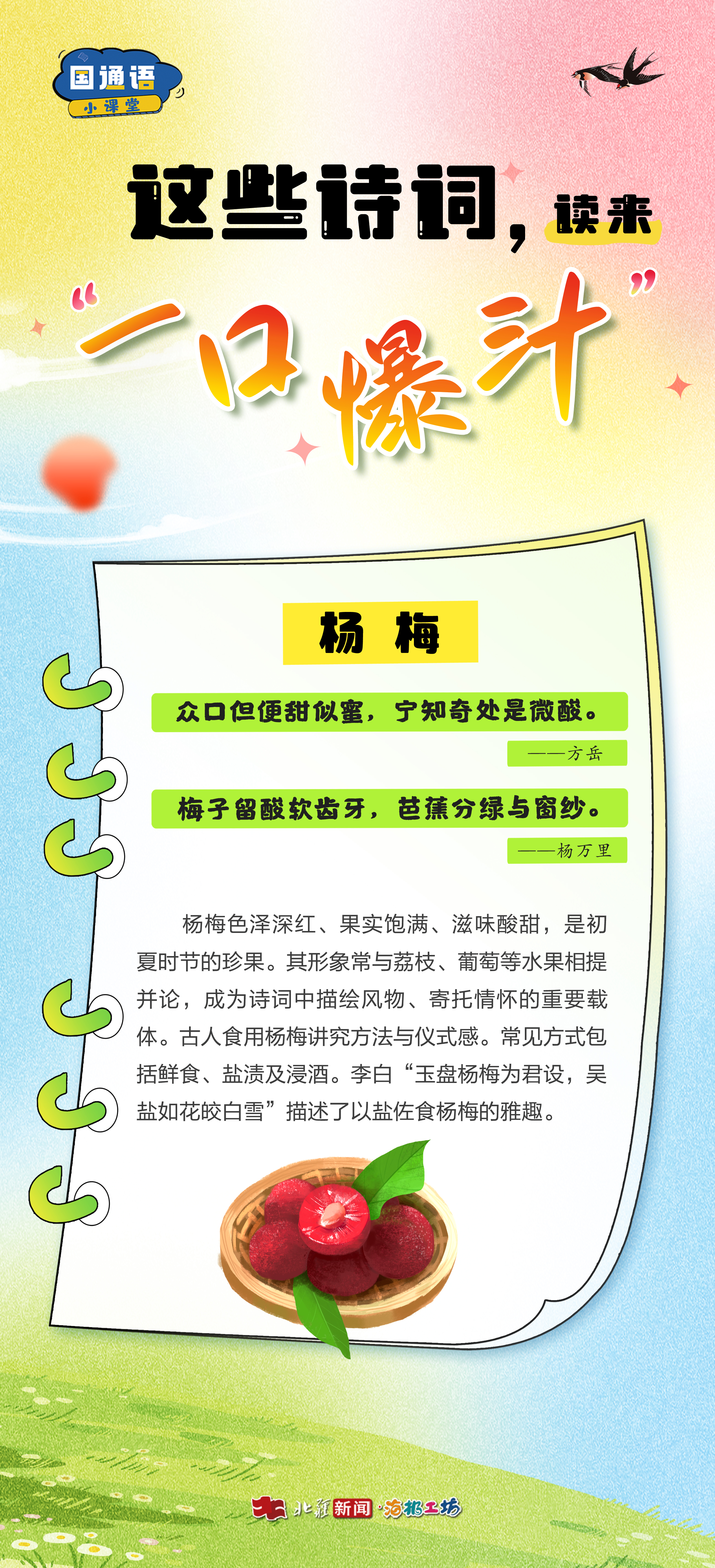 杨梅.jpg
