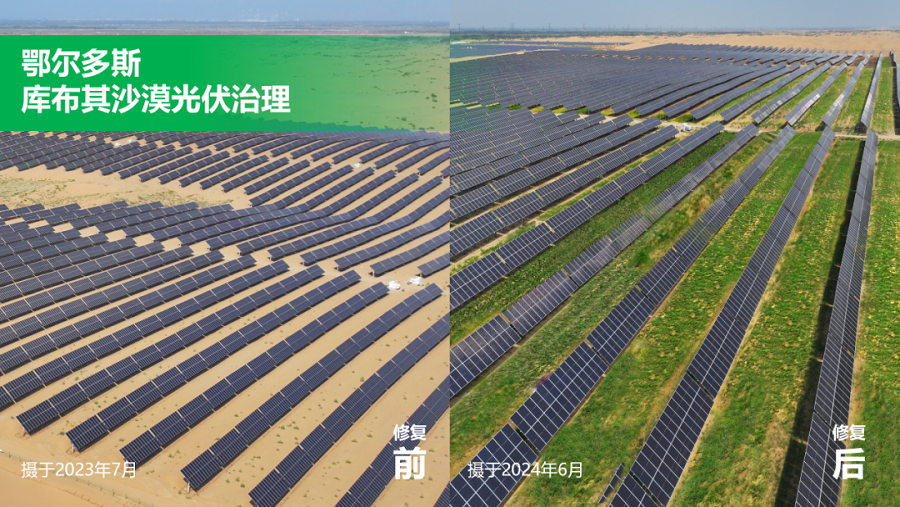 1782824305730679.png 图片3.png