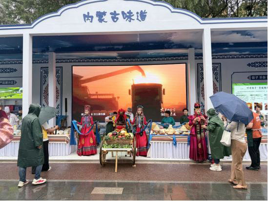 旅游2.jpg
