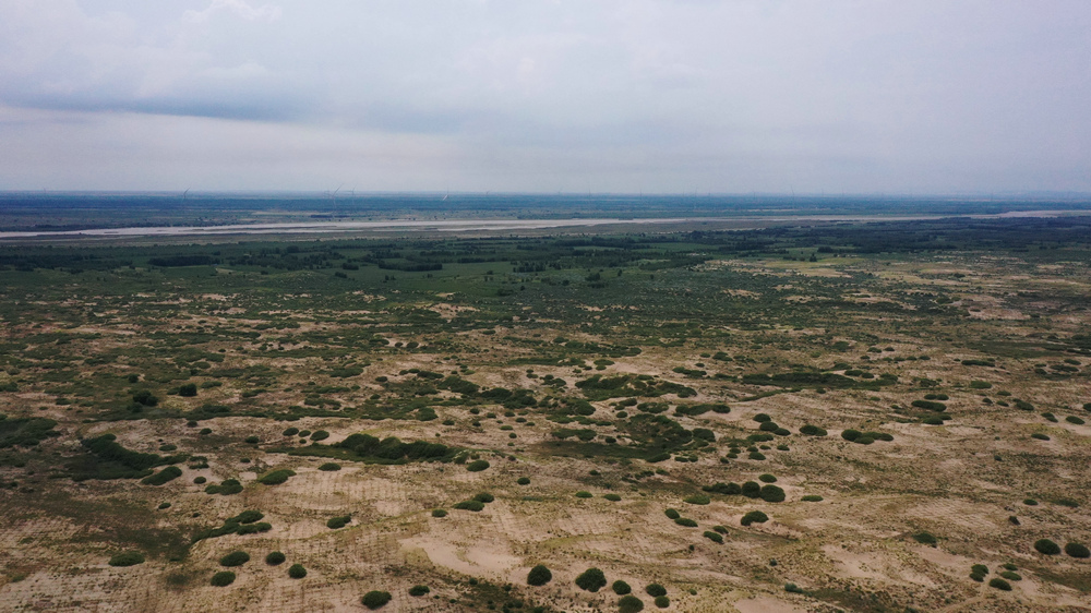 DJI_0415.jpg