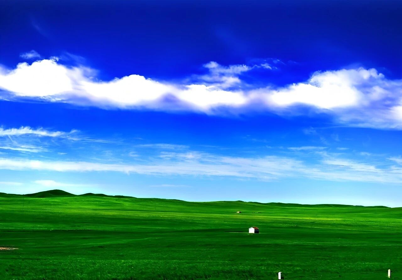 1787545057780166.jpg