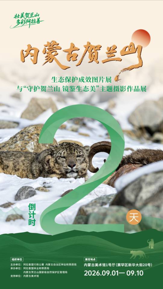 微信图片_20260830082104_130_73.jpg