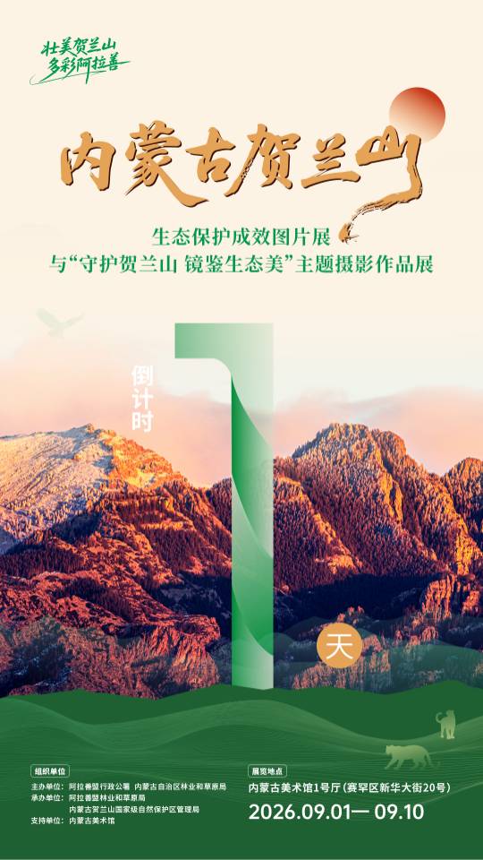 微信图片_20260831080832_178_502.jpg