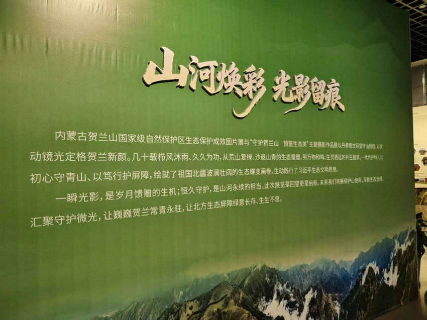 贺兰山2.jpg