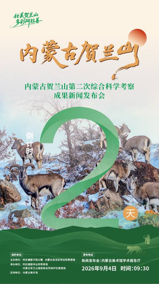 微信图片_20260902083205_150_57.jpg