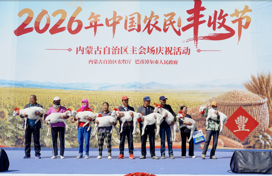 图片5.png