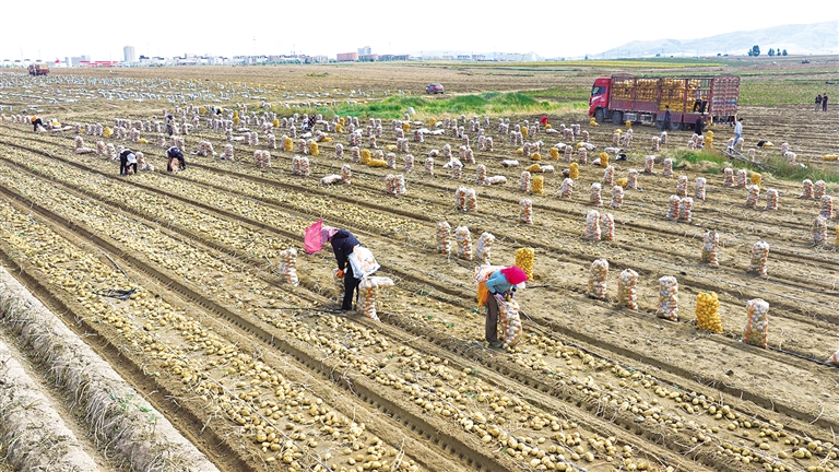 4875158_zhangj_1790433135632_s.jpeg