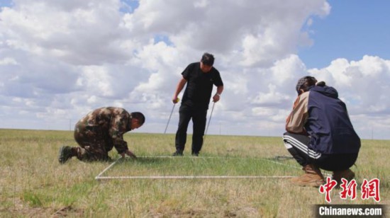 图为林草监测工作人员在草原监测样方区对草原返青状况进行地面监测。 张曙亮 摄