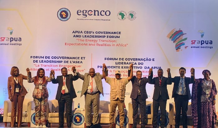 图说：各方嘉宾出席非洲电力公用事业协会年会。 供图：全球能源互联网发展合作组织