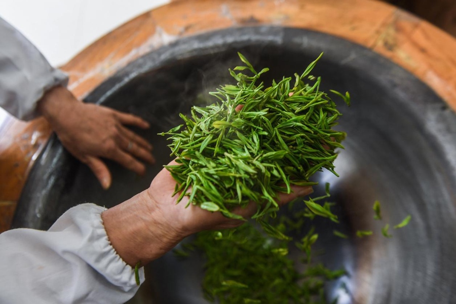 在杭州市西湖风景名胜区满觉陇村的中国茶叶博物馆满觉陇炒茶中心内，茶农在手工炒制西湖龙井茶。新华社记者 徐昱 摄