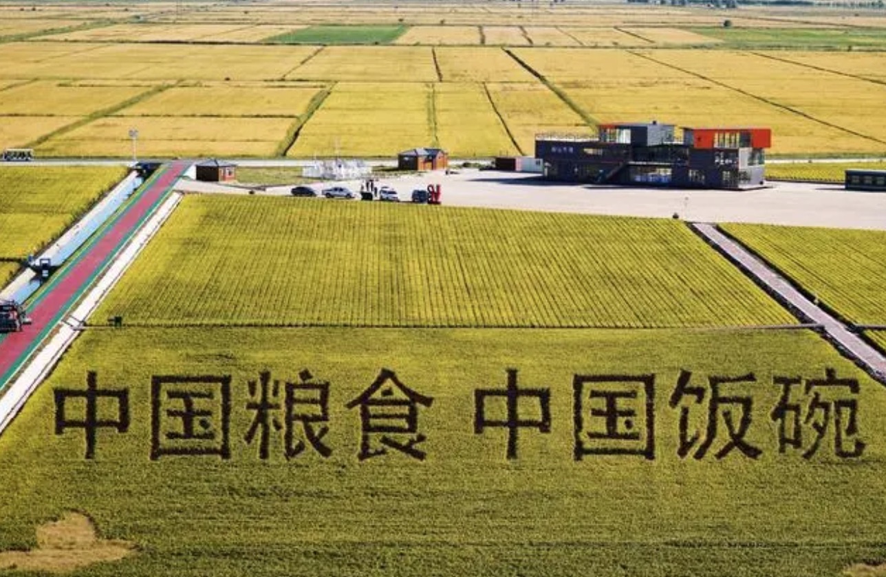 2022年9月2日，黑龙江省富锦市万亩水稻科技示范园内的稻田画。