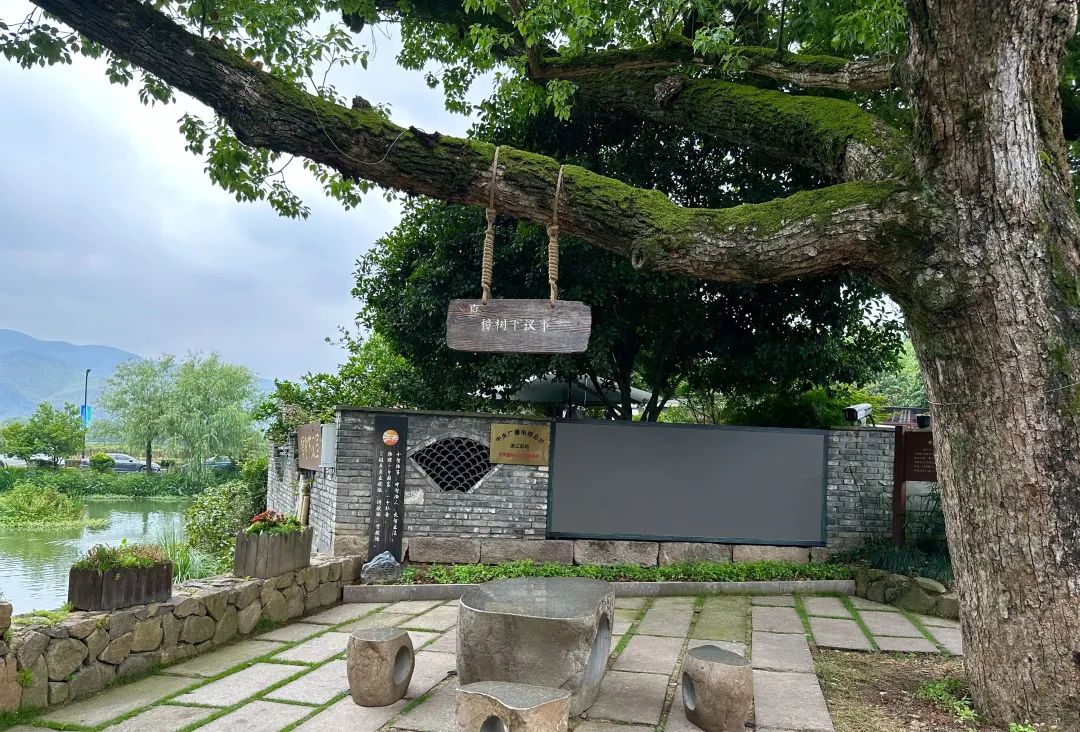 浙江省杭州市余杭区小古城村的“樟树下议事”木制字牌。静玄 摄
