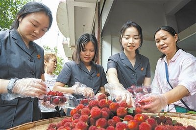 志愿者和村民一起将摘下的杨梅装进食品盒里。