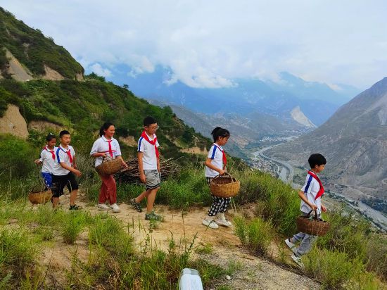 文县东坝童声合唱团的孩子们在文县山上采摘花椒。